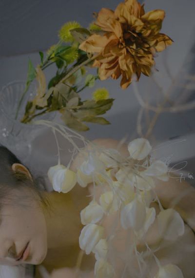 91卫图助手_720手机在线看